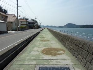 サイクリング街道